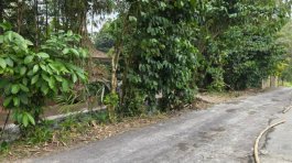 JUAL CEPAT! Tanah SHM Pekarangan Luas 2314 m² Lebar Depan 20 Meter di Ngelosari, Purwobinangun, Pakem, Sleman – Harga Rp 1,2 Juta/m² (Total ±Rp 2,776 Miliar) – Lokasi Alami, Air Mengalir Sepanjang Masa, Dekat 20+ Wisata Kaliurang!