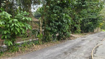 JUAL CEPAT! Tanah SHM Pekarangan Luas 2314 m² Lebar Depan 20 Meter di Ngelosari, Purwobinangun, Pakem, Sleman – Harga Rp 1,2 Juta/m² (Total ±Rp 2,776 Miliar) – Lokasi Alami, Air Mengalir Sepanjang Masa, Dekat 20+ Wisata Kaliurang!