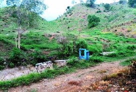 Serading  - Land for Sale in Sumbawa Regency