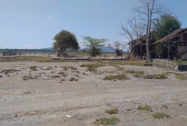 Labuhan kuris  - Land for Sale in Sumbawa Regency