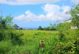 Jalan Raya Pantai Siyut  - Land for Sale in Gianyar