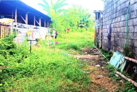Ketewel  - Land for Rent in Gianyar Regency