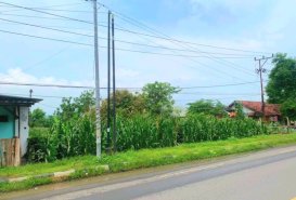 Labuhan Badas  - Land for Sale in Sumbawa Regency