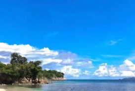 Dijual Tanah Los Pantai Bolaang Mongondow Sulawesi Utara  - Land for Sale in North Bolaang Mongondow Regency