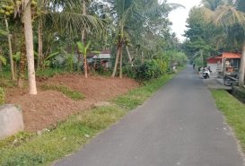 Disewakan Tanah 43 Are Di Mengwi Badung Bali  - Land for Rent in Mengwi
