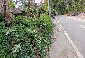 Disewakan Tanah Zona Industri Di Mengwi Badung Bali  - Land for Rent in Mengwi