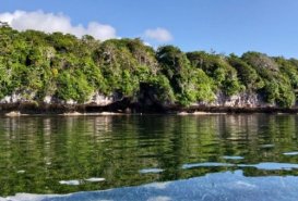 Dijual Tanah Tebing Pinggir Pantai Wakatobi South Wangi-Wangi Sulawesi Tenggara  - Land for Sale in Wakatobi Regency