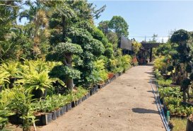Dijual Tanah 2320 M2 Bypass Ngurah Rai, Gatsu Timur Kesiman Kertalangu  - Land for Sale in Denpasar