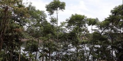 Saguling West Bandung Regency