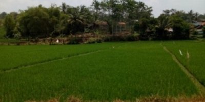 Jalan Cikaro Bandung