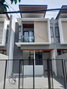 Jl. Leuwi Panjang, Situsaeur