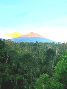 Tanah Dijual Di Rendang Karangasem View Gunung Agung Dekat Kintamani 