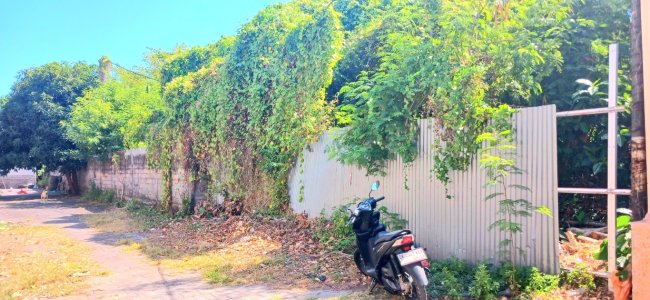 Dijual Tanah 200 m2 Jalan Sunia Negara Pemogan Dkt Bypass Ngurah Rai Sanur Bali 